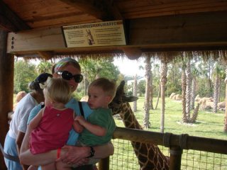 Giraffe's                               