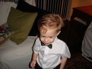 Mr H and his new Bow Tie                               