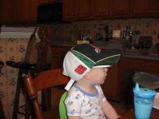 Dale Earnhardt Hat                               